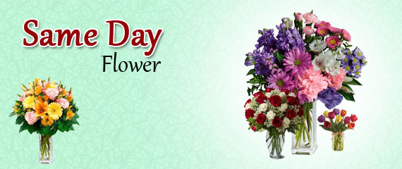Same Day Flowers